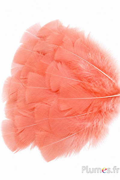 Tacchina - 6-8 cm - salmone rosa